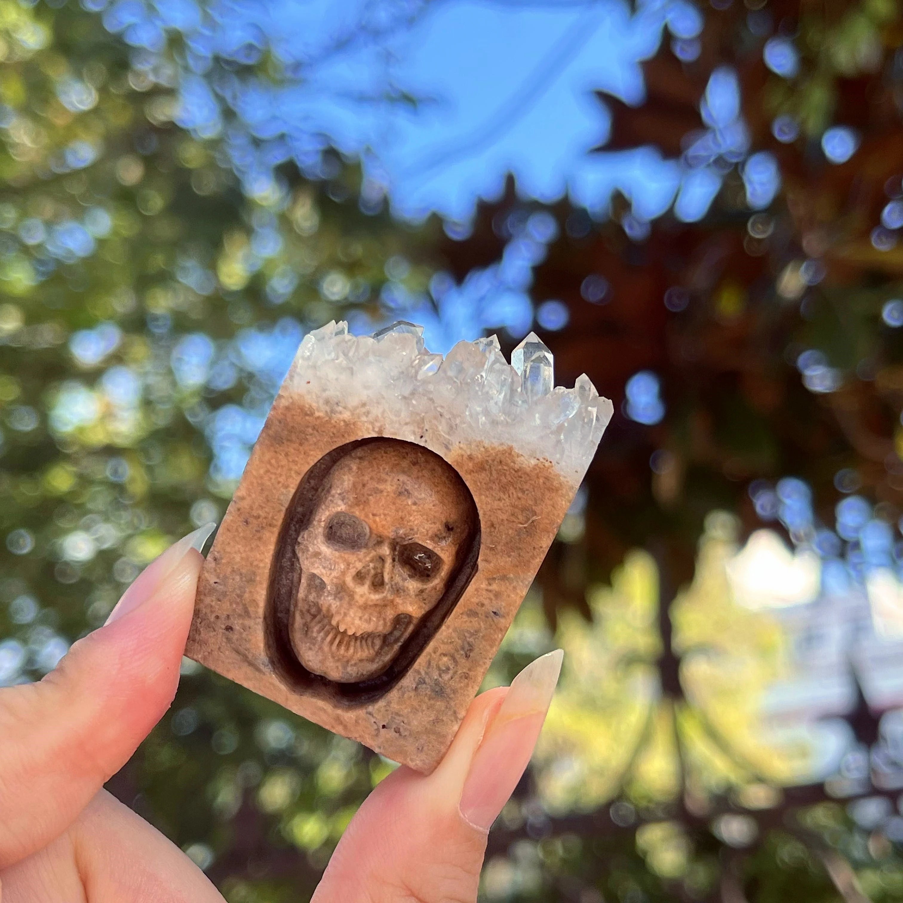 Chrysanthemum Quartz Skull Crystal