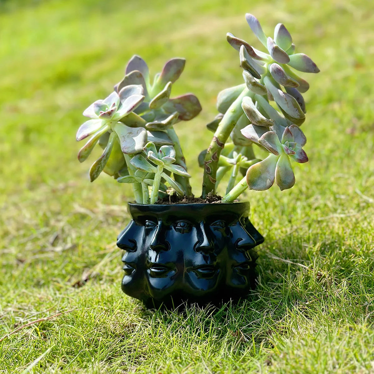 3D Multi Faceted Vase - Floral Fawna
