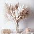 Dried Pampas Grass & Rabbit Tail Bouquet - Floral Fawna