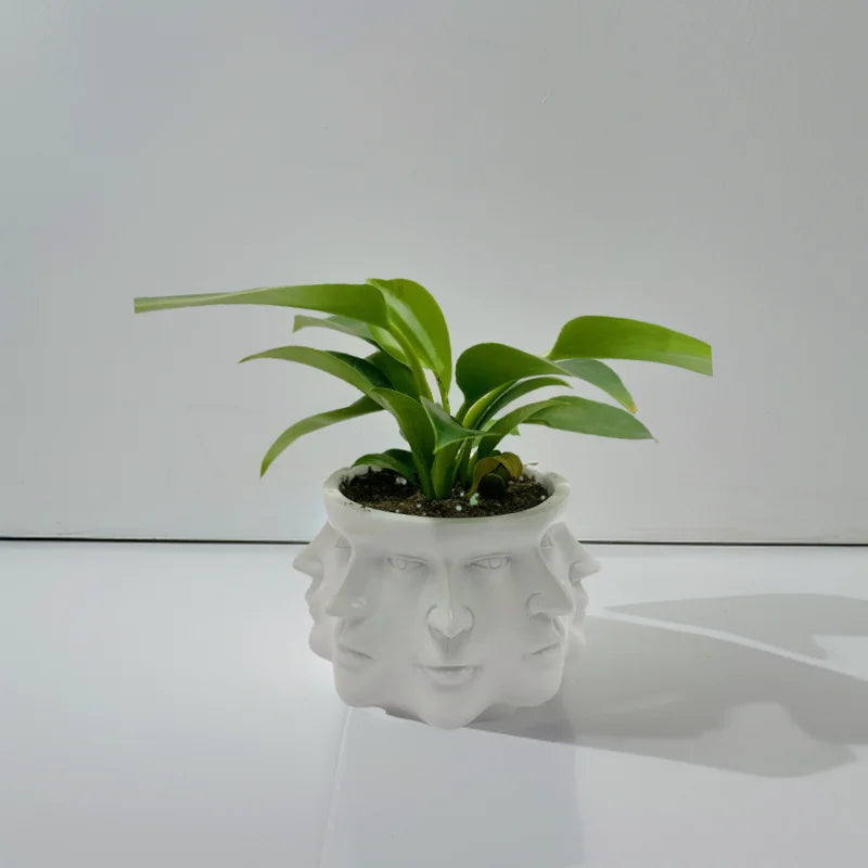 3D Multi Faceted Vase - Floral Fawna