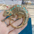 Rhinestone Iguana Brooch - Floral Fawna