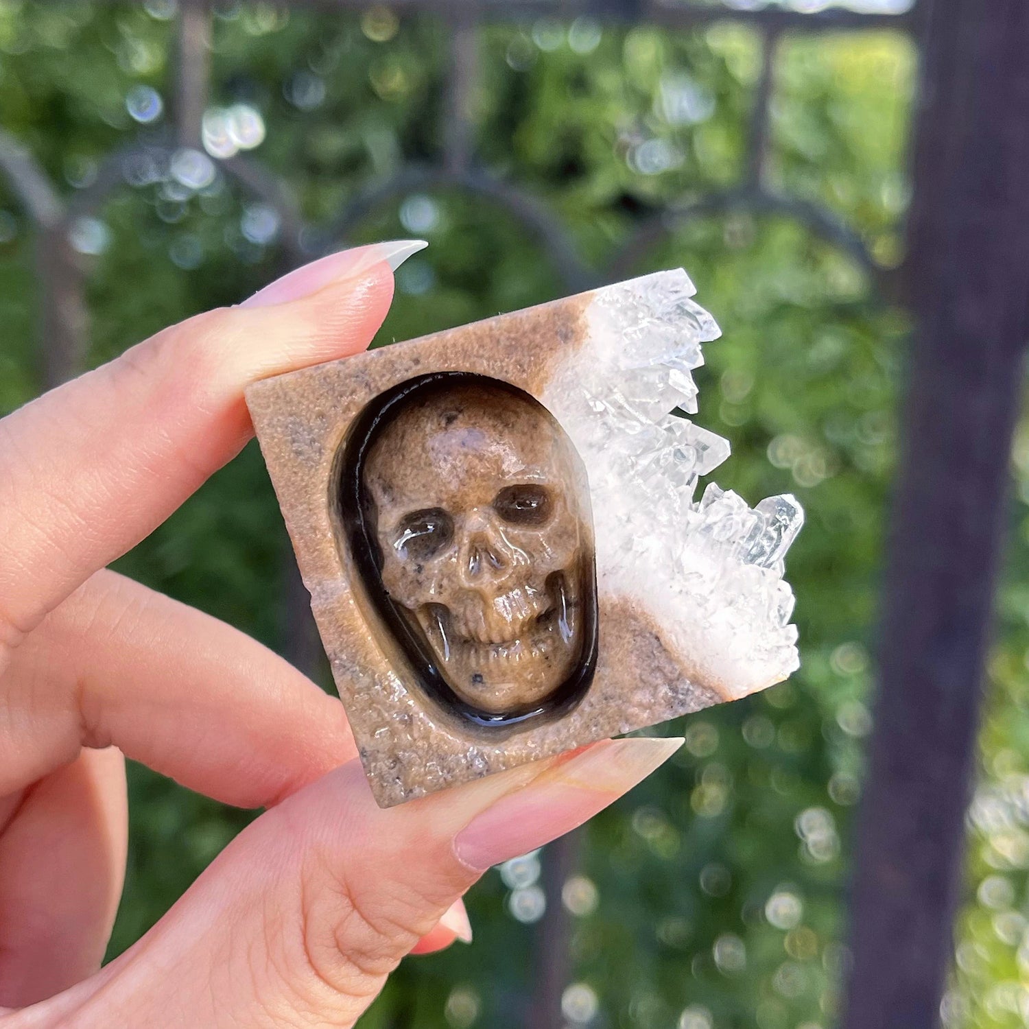 Chrysanthemum Quartz Skull Crystal - Floral Fawna