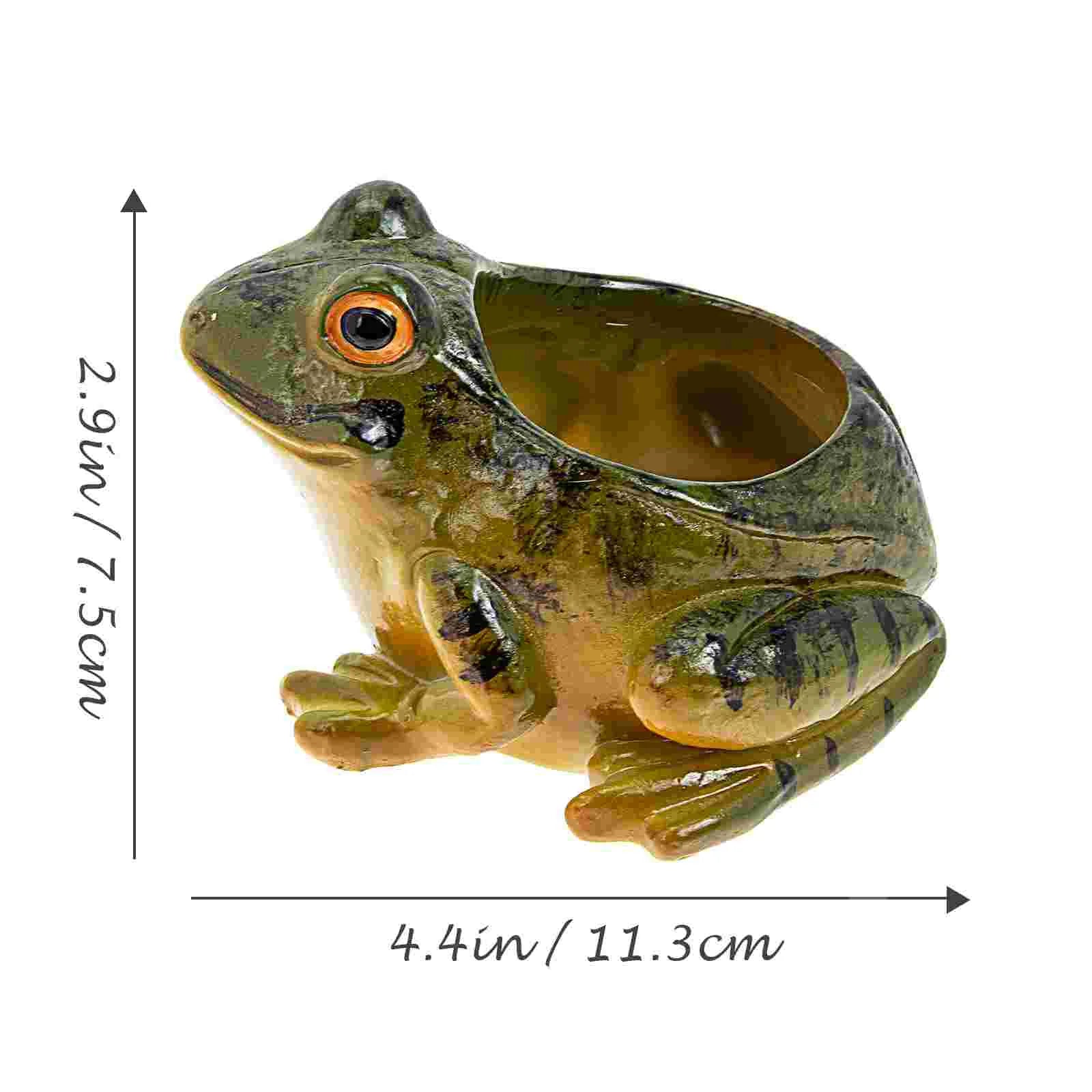 Ceramic Frog Planter - Floral Fawna