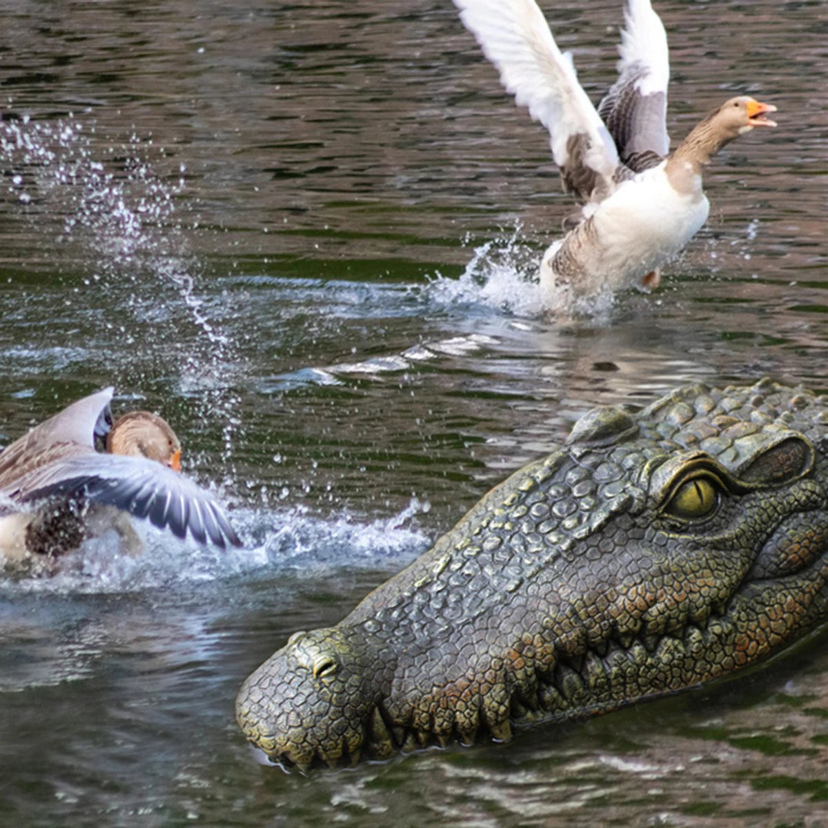 Floating Alligator Head Sculpture - Floral Fawna
