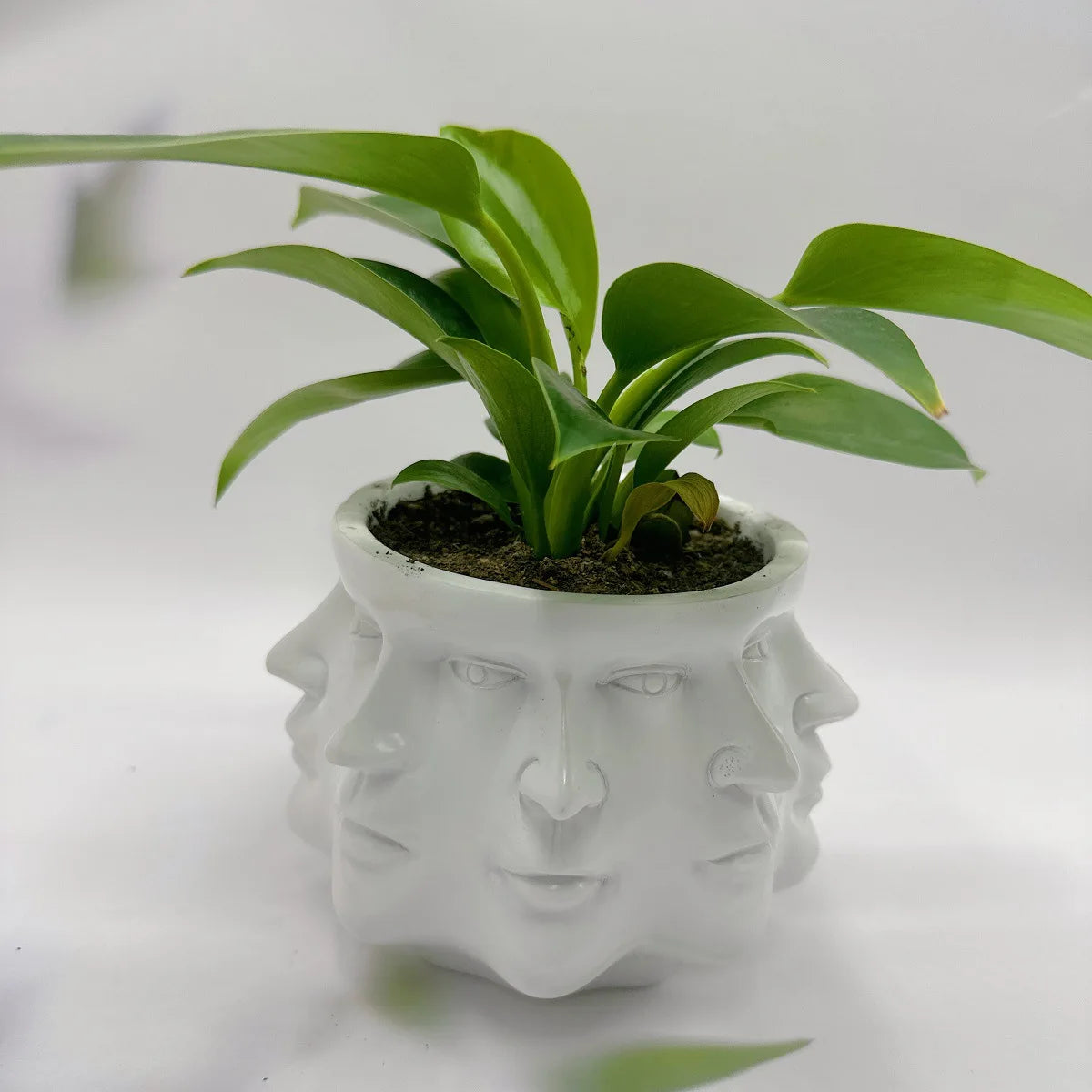 3D Multi Faceted Vase - Floral Fawna