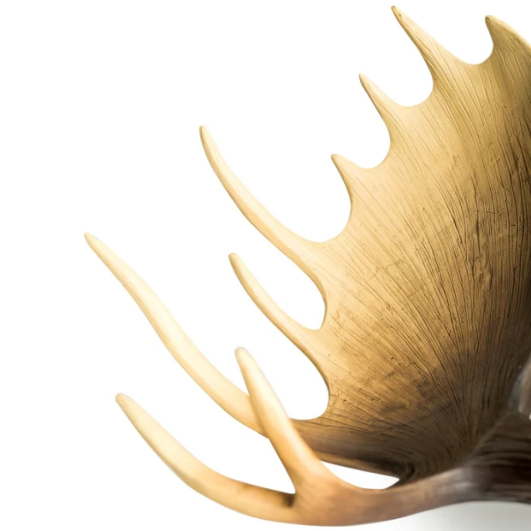 Large Moose Wall Hanging