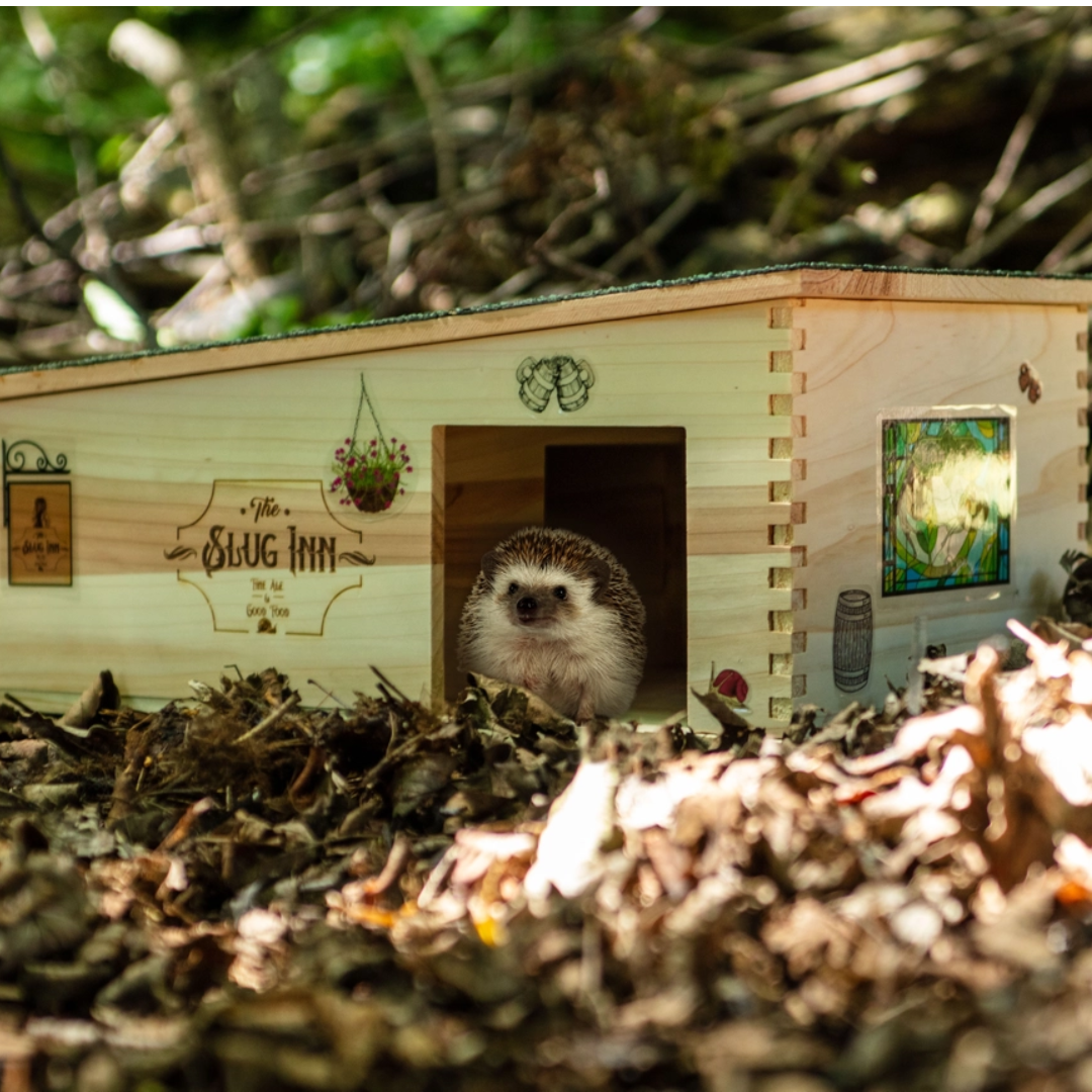 The Slug Inn Hedgehog House
