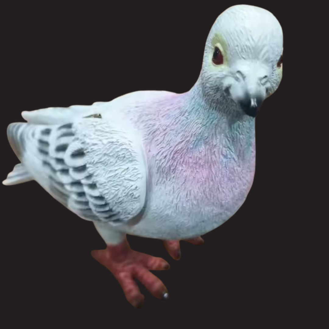 Pigeon Clutch Bag