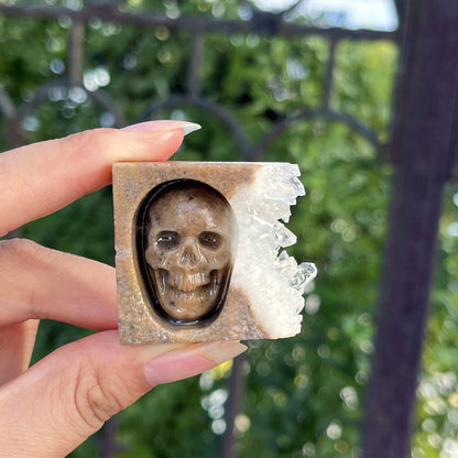 Chrysanthemum Quartz Skull Crystal