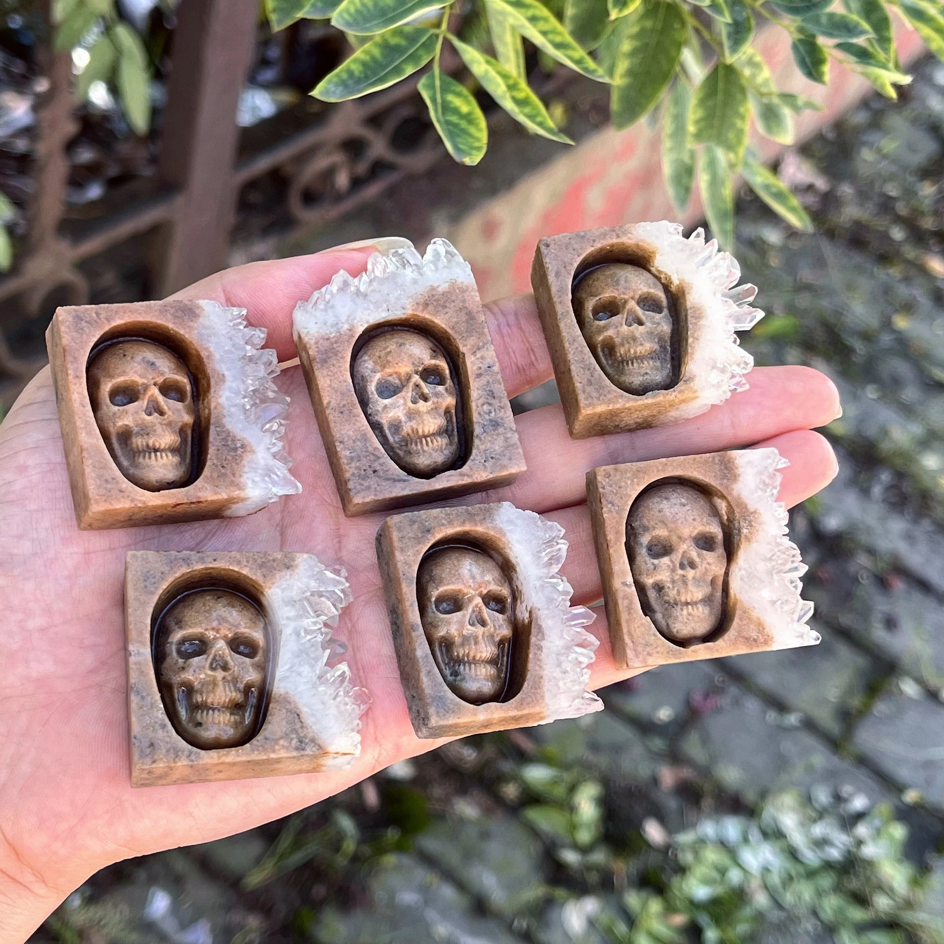 Chrysanthemum Quartz Skull Crystal