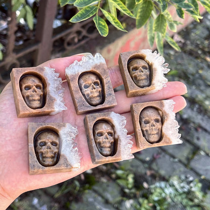 Chrysanthemum Quartz Skull Crystal