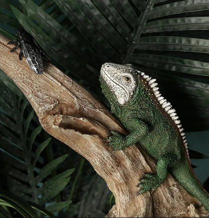 Realistic Iguana Sculpture