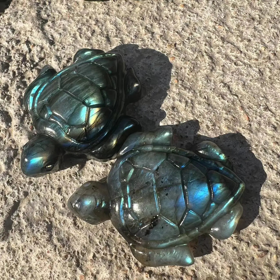 Labradorite Turtle Crystal - Floral Fawna