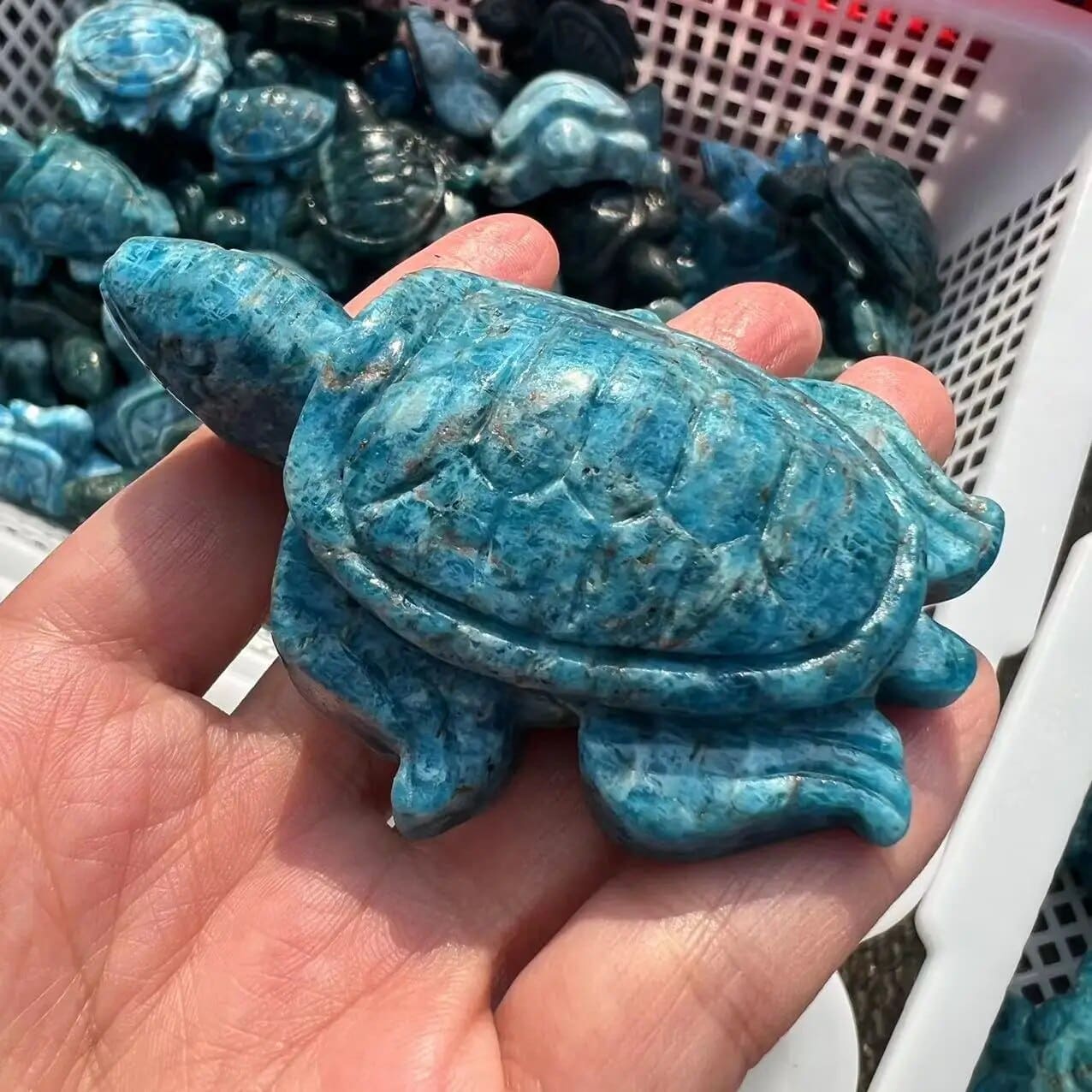 Lapis Lazuli Turtle Crystal - Floral Fawna