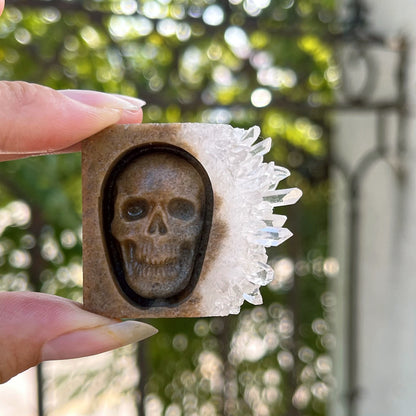 Chrysanthemum Quartz Skull Crystal