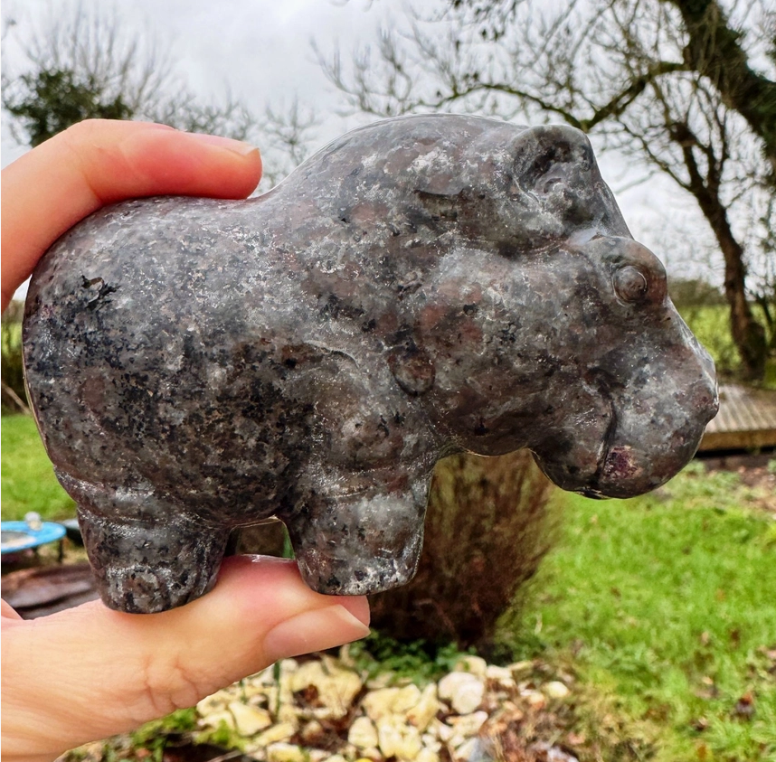 🦛✨ Yooperlite Hippo Crystal ✨🦛