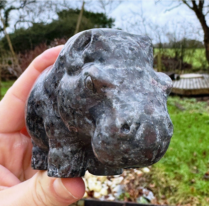 🦛✨ Yooperlite Hippo Crystal ✨🦛