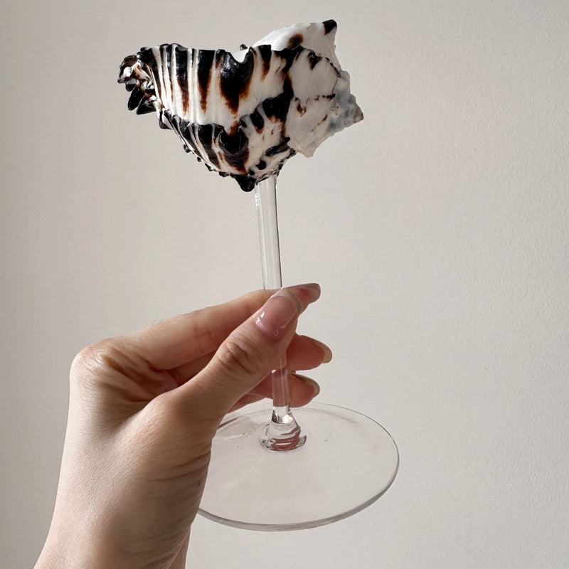 Natural Shell Glasses