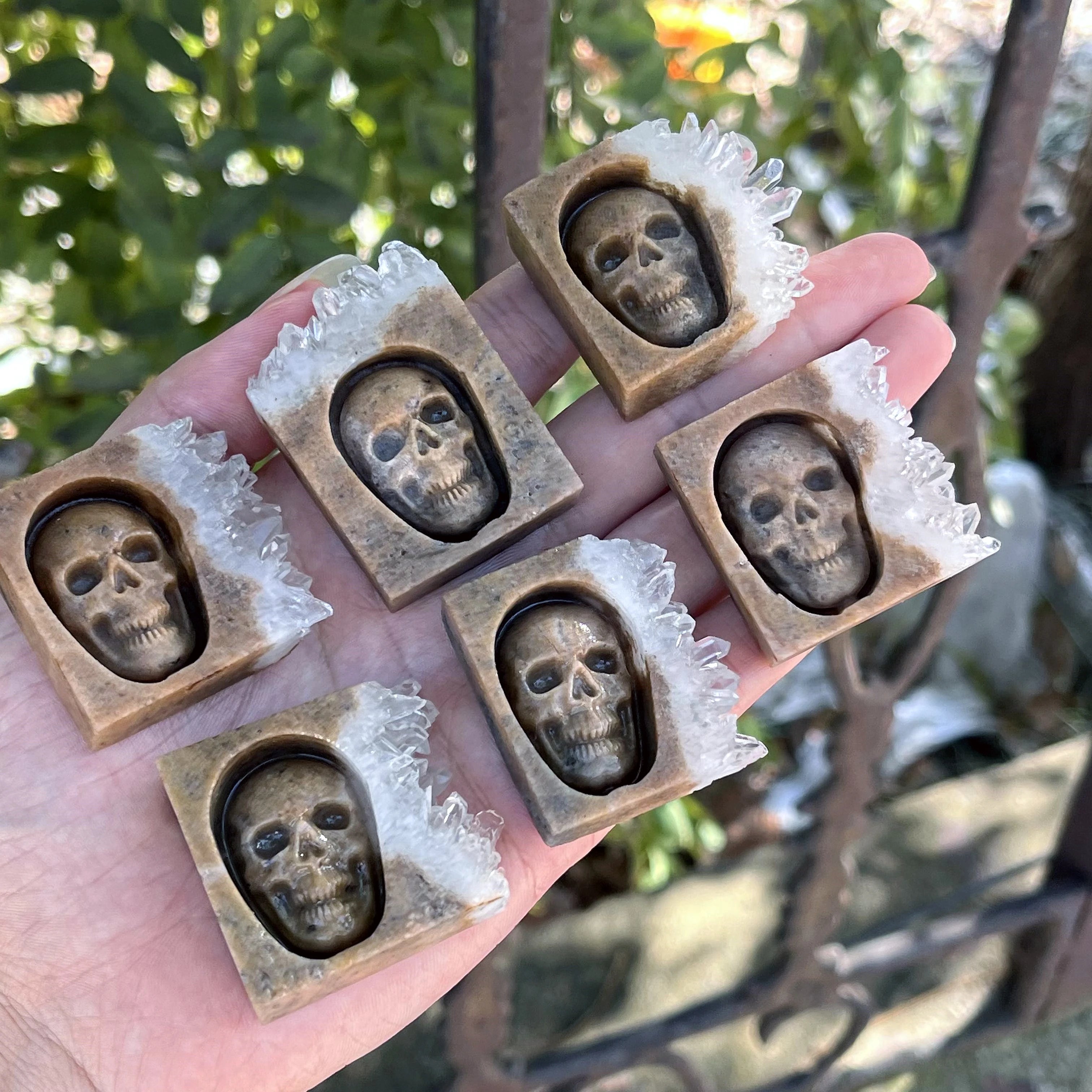 Chrysanthemum Quartz Skull Crystal