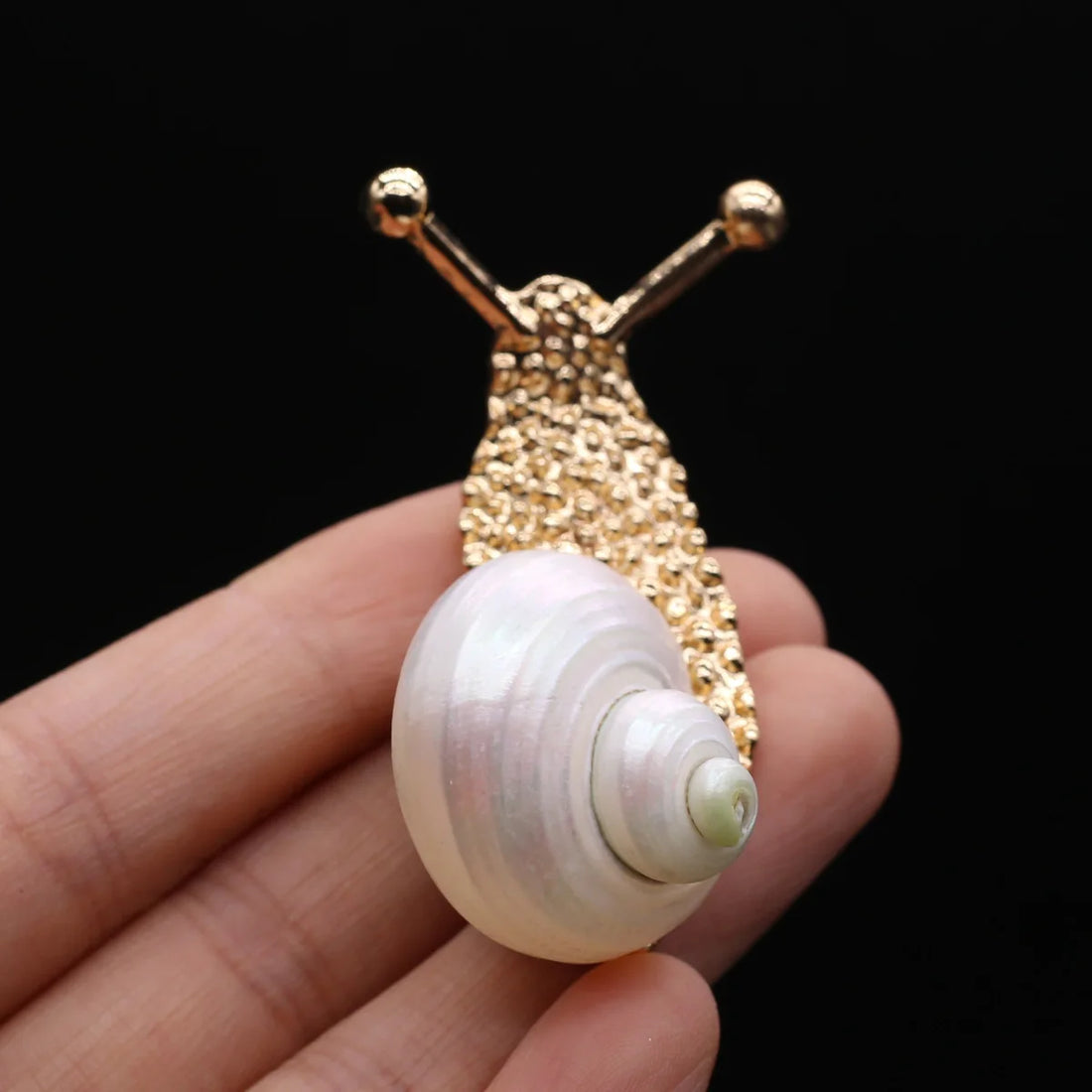 Sea Snail &amp; Conch Shell Brooch - Floral Fawna