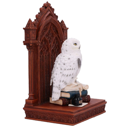 The Scribes Companion Owl Ornament