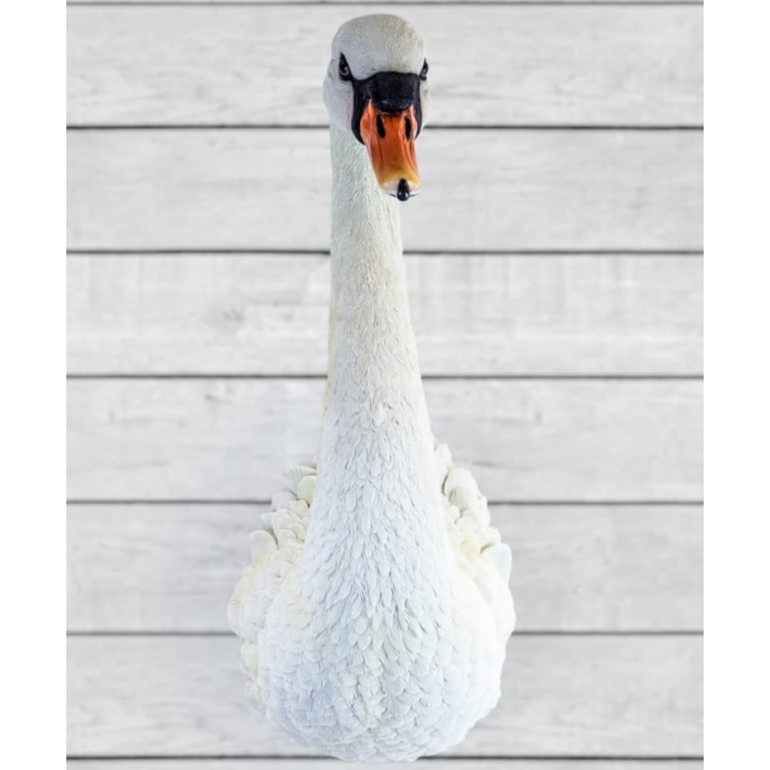 Large White Swan Wall Head