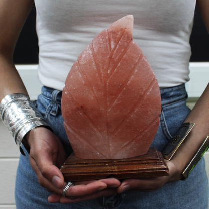 Fern Salt Lamp