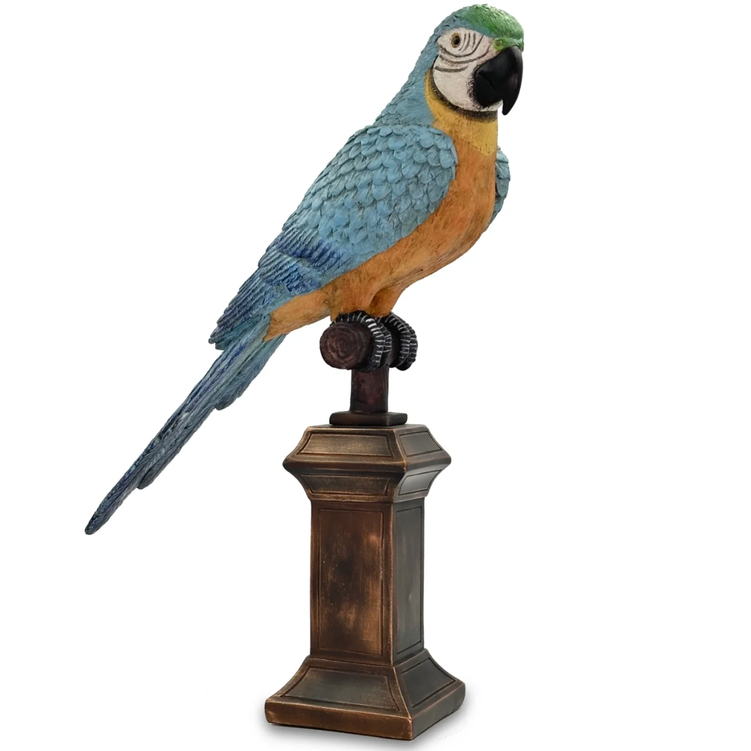 Macaw Parrot On Perch Ornament