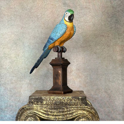 Macaw Parrot On Perch Ornament