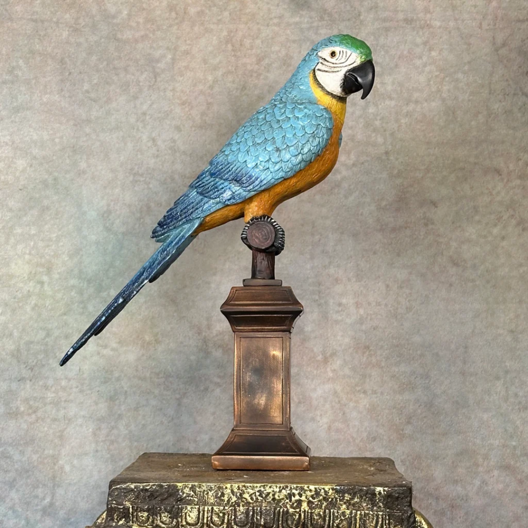 Macaw Parrot On Perch Ornament