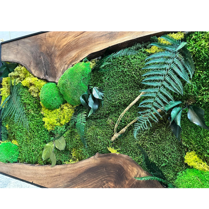 Moss Wall Art with Led Lights