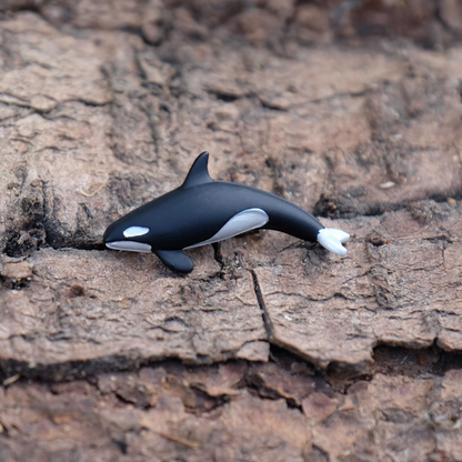 Orca Whale Brooch