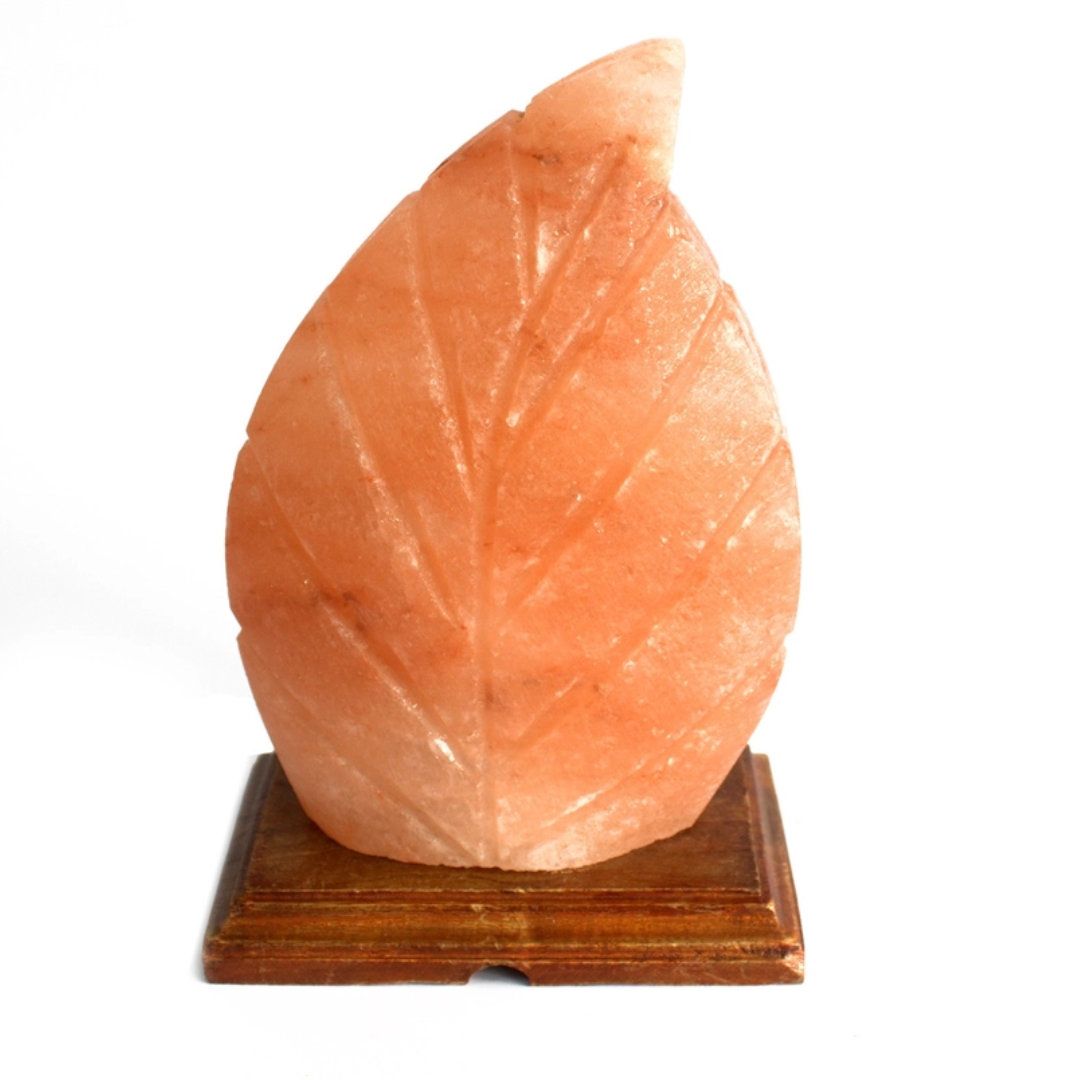 Fern Salt Lamp