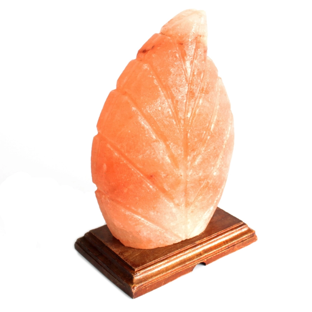 Fern Salt Lamp