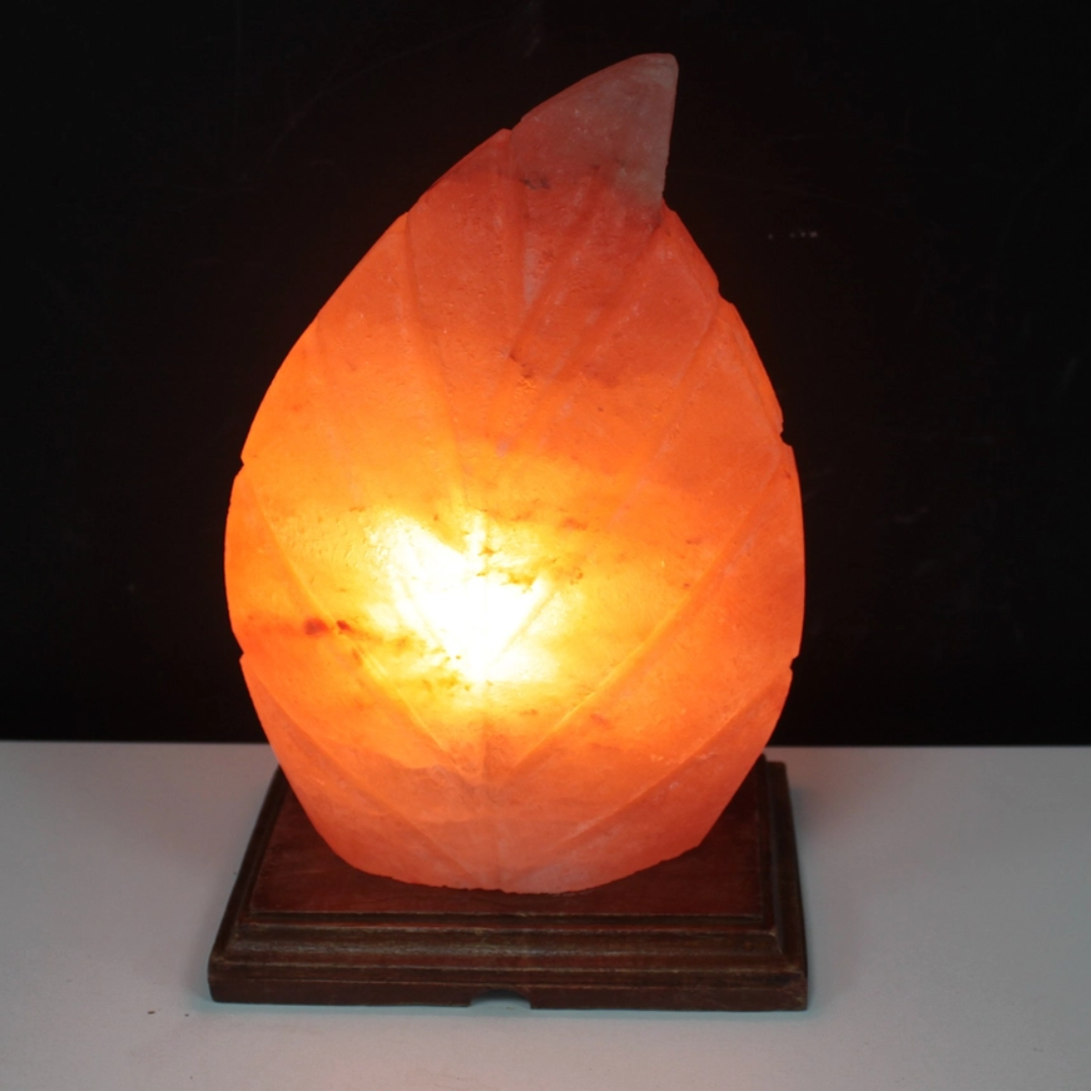 Fern Salt Lamp