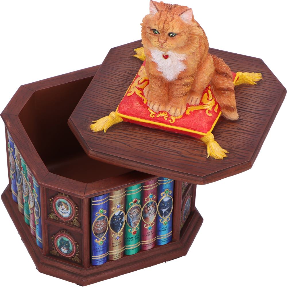 Mad About Cats Box Sculpture