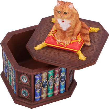 Mad About Cats Box Sculpture
