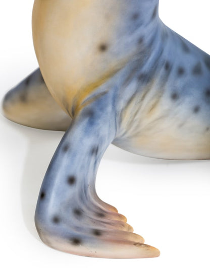 Grey Seal Coffee Table