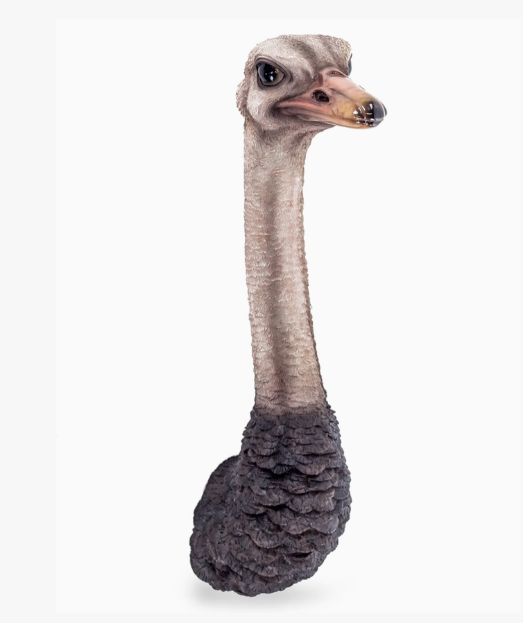 Ostrich Head Wall Figure