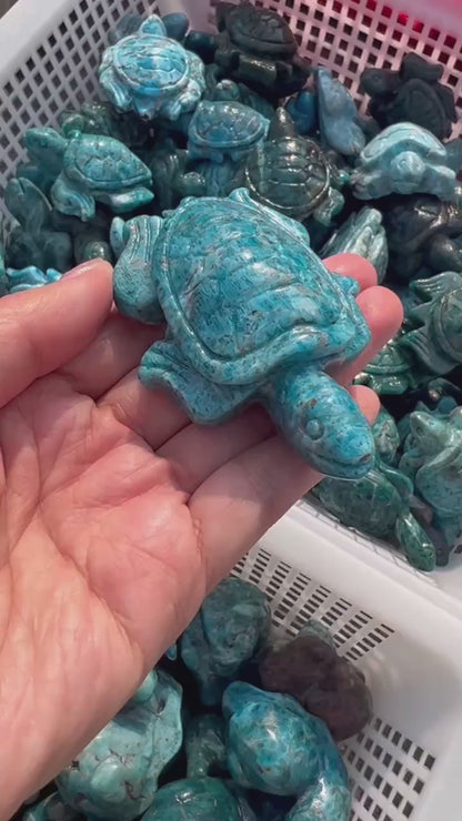 Lapis Lazuli Turtle Crystal