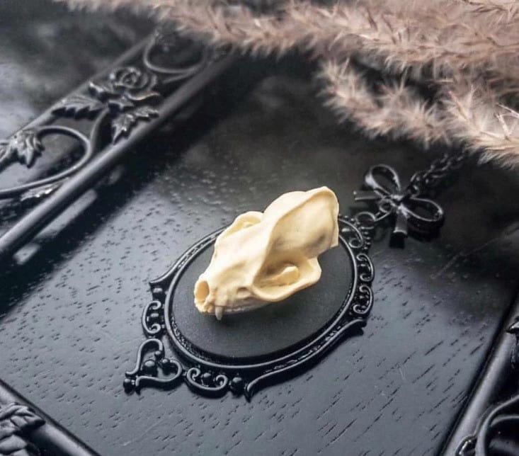 Bat Skull Cameo Necklace - Floral Fawna