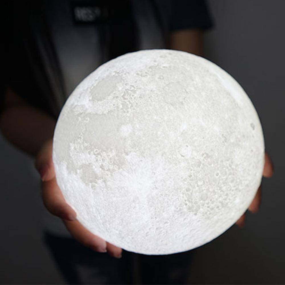 Luna - The Enchanting Moon Lamp - Floral Fawna