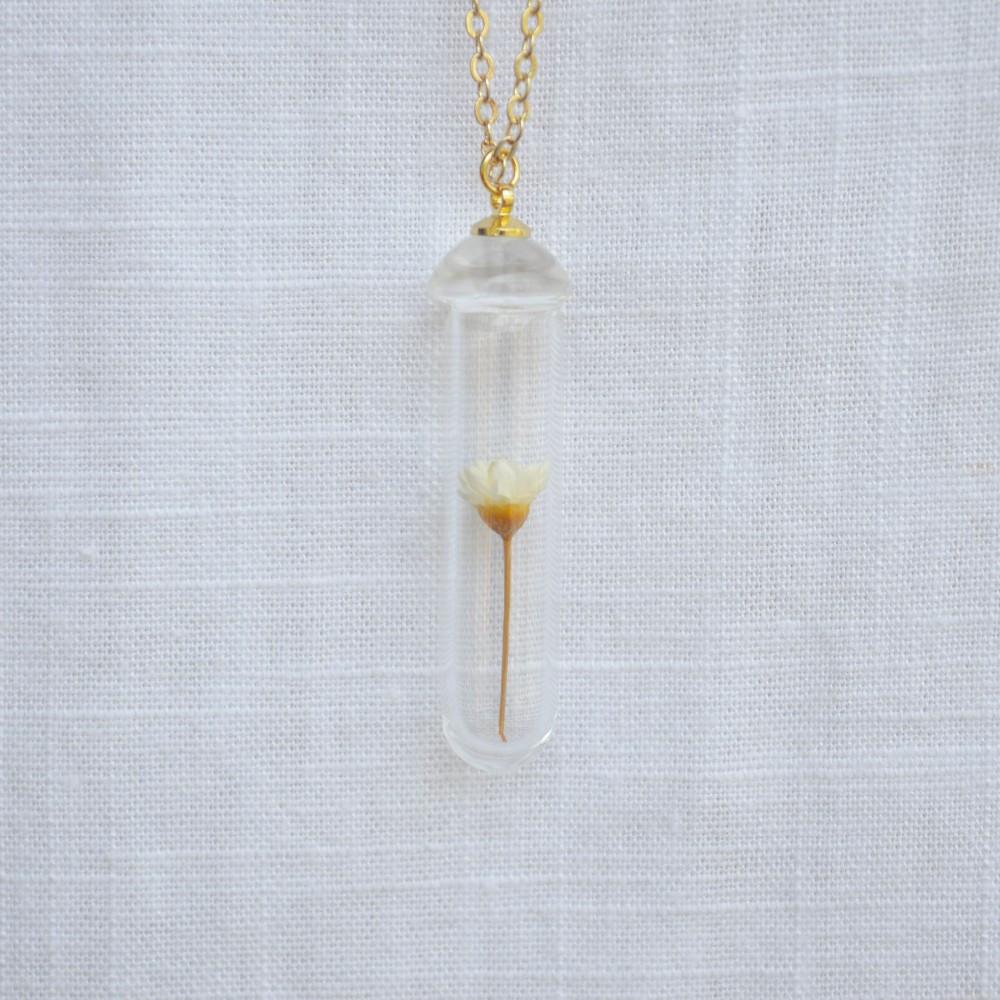 Daisy Flower In Glass Long Necklace - Floral Fawna
