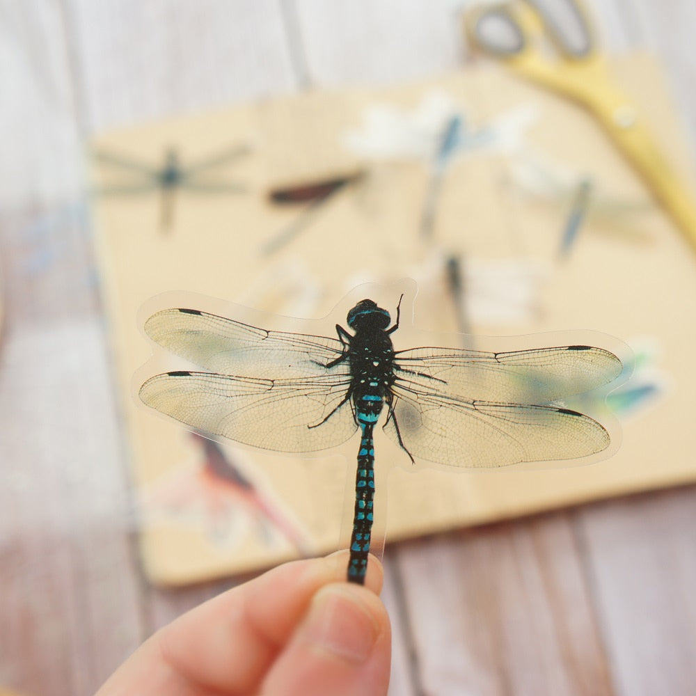 Dragonfly Stickers - Floral Fawna