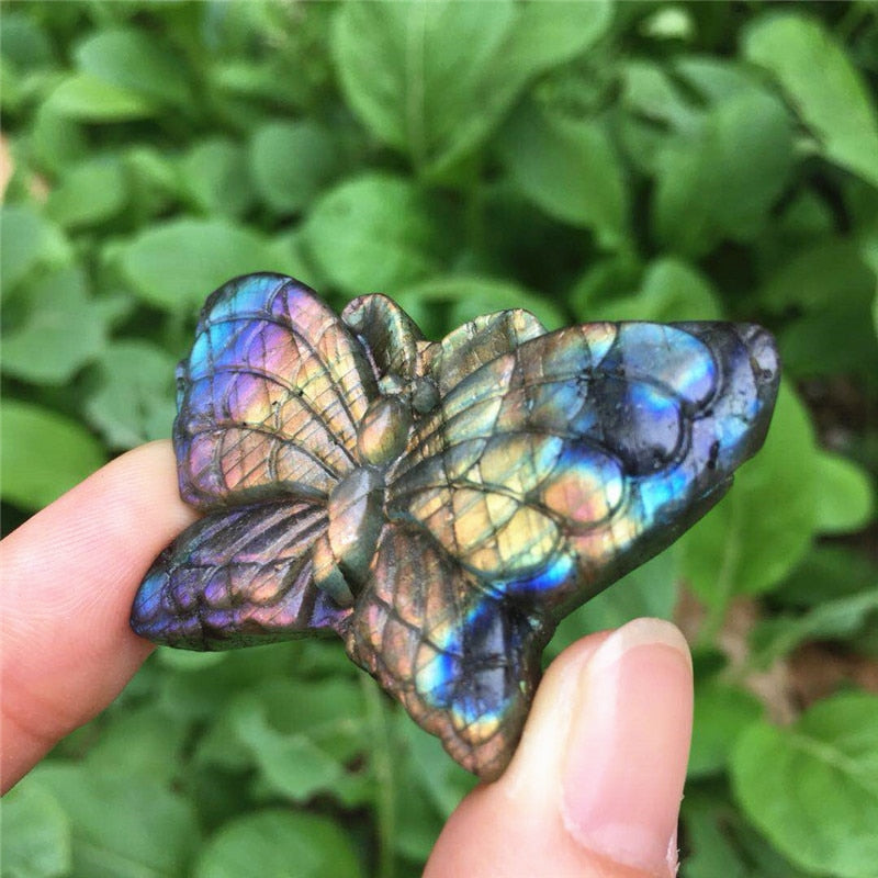 Labradorite Butterfly Crystal - Floral Fawna