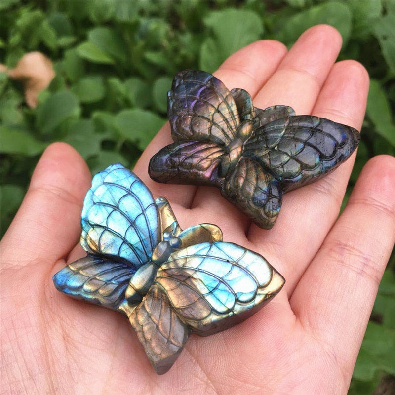 Labradorite Butterfly Crystal - Floral Fawna