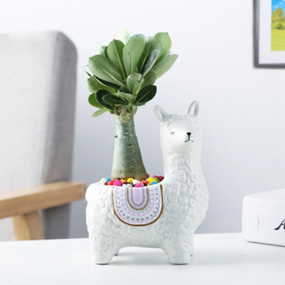 Alpaca Ceramic Planter - Floral Fawna