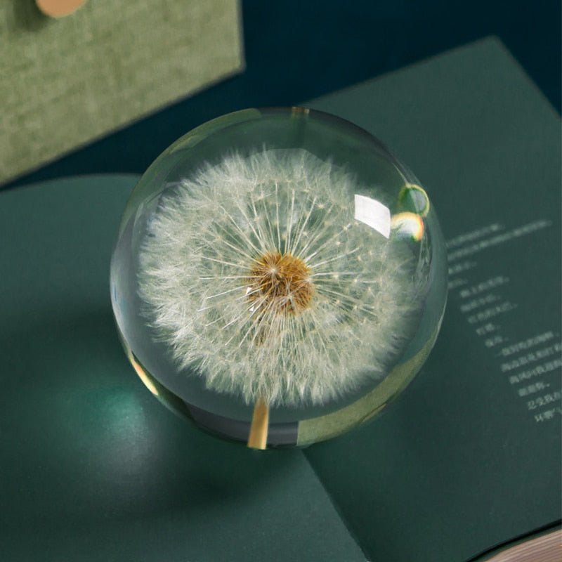Real Dandelion Crystal Resin Ball - Floral Fawna